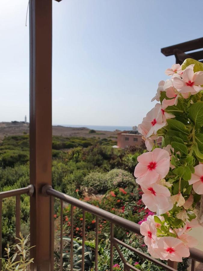 Ancient Paphos - Cozy Place Next To The Sea, Marina, Historical Sites, Buses, Mall, And Market Экстерьер фото