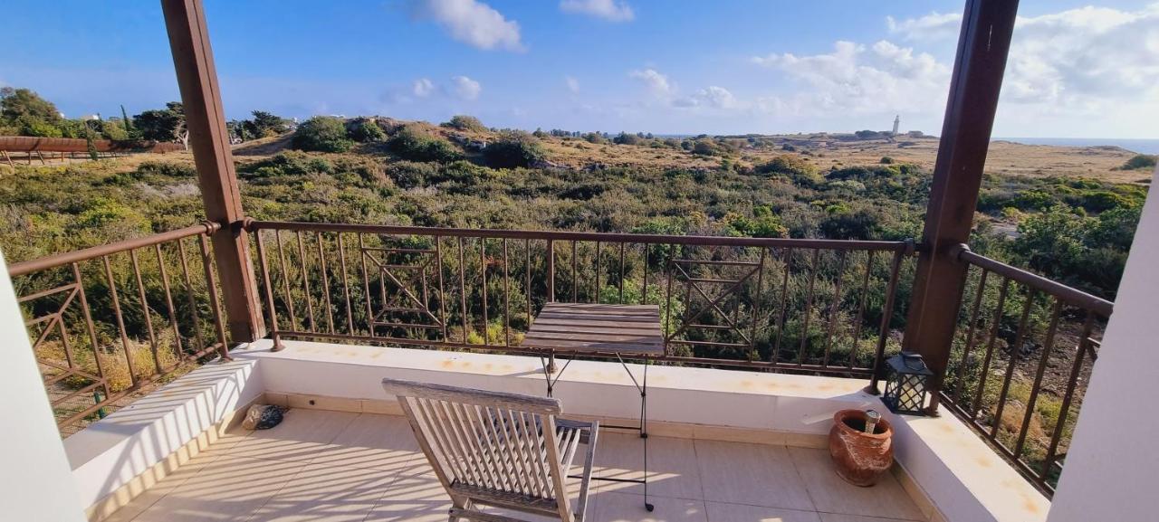 Ancient Paphos - Cozy Place Next To The Sea, Marina, Historical Sites, Buses, Mall, And Market Экстерьер фото